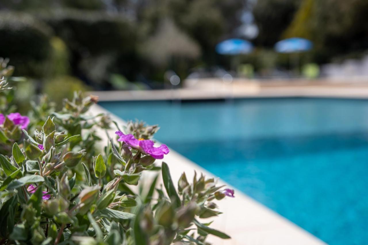 Les Arbousiers Village Hotel Provencal La Roquebrussanne Exteriér fotografie